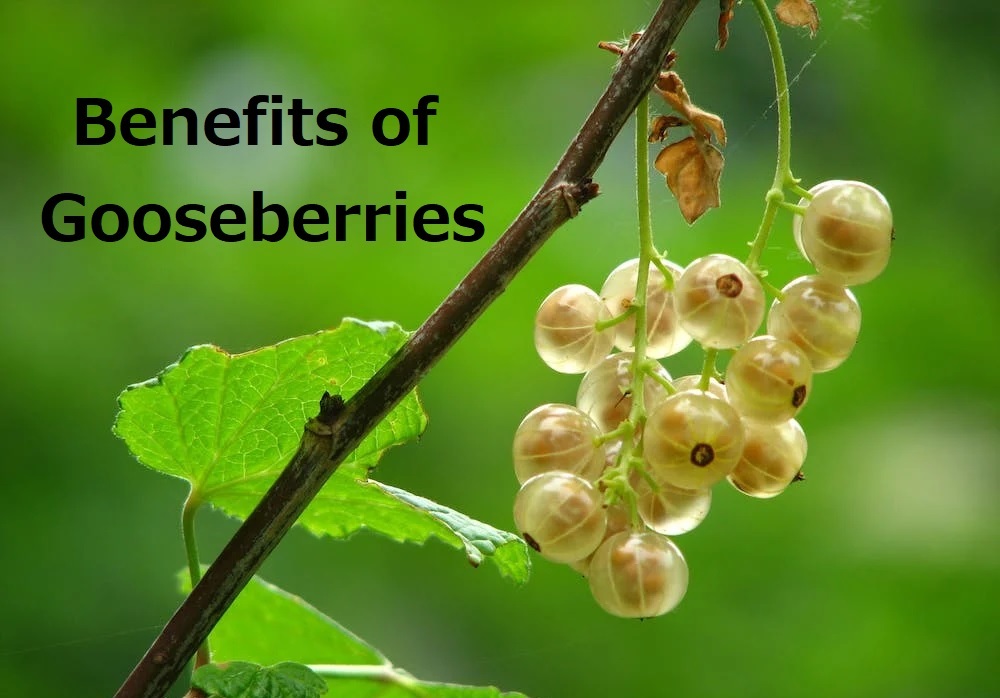 benefits of gooseberries