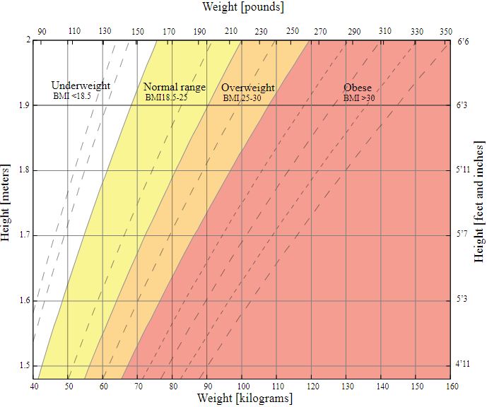 BMI 1 bmi