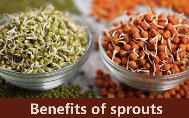 benefits of sprouts
